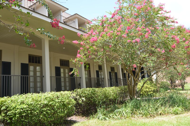 Exterior image of an LSU sorority house renovated by Cockfield Jackson Architects.